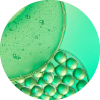 White Birch & Plankton Extract, Coenzyme Q10